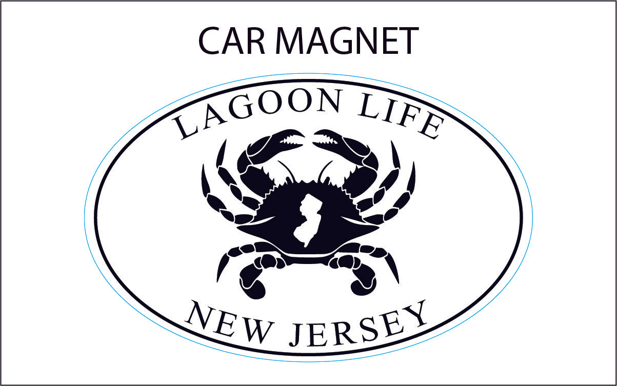 Car Magnet - 4"x6"